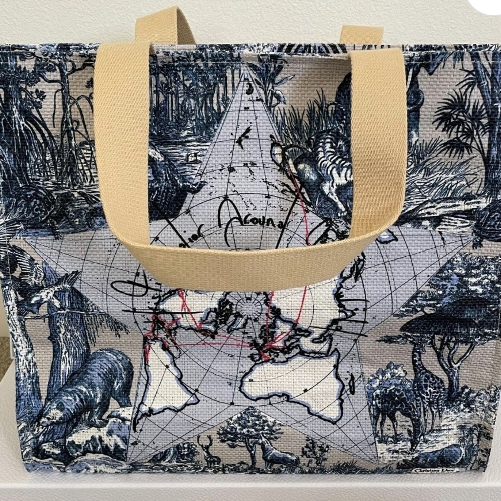 NEW Christian DIOR  platinum member GWP novelty tote bag